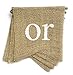 dealzEpic - BOY OR GIRL - Rustic Burlap Banners for Baby Shower or Gender Reveal Party Decorations - Swallowtail Shaped Banners