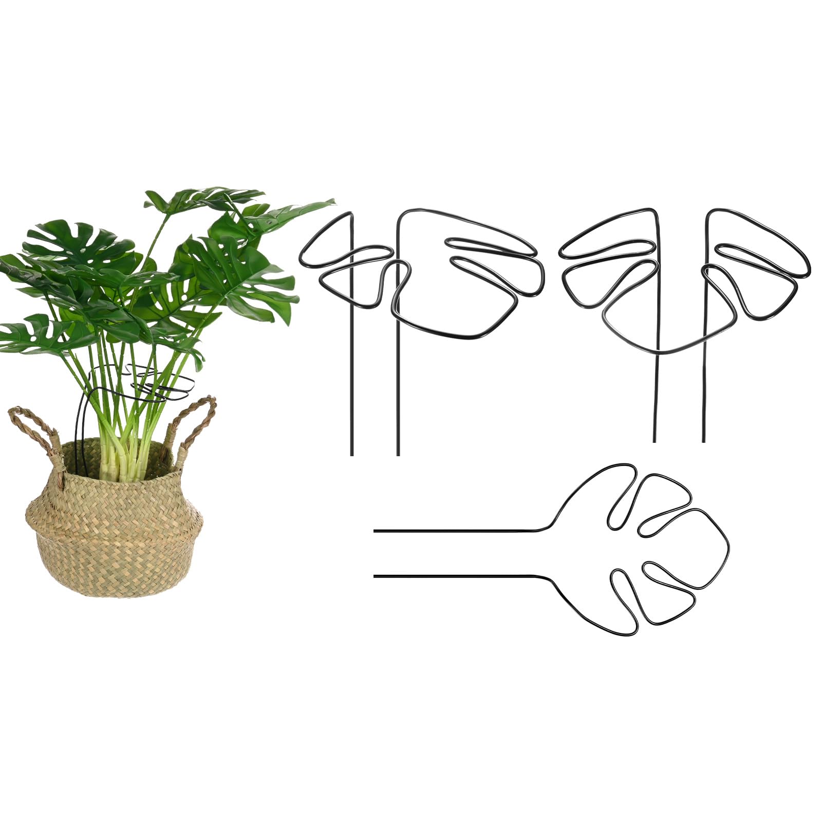 M METERXITY 3-Pack Monstera Plant Support, 11x5.9 Inch Reusable Sturdy Alloy Plant Support Stakes Unique Design for Potted Plants Flowers/Vegetables/Indoor Outdoor Climbing Plants [Black]