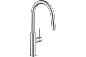 FORIOUS Kitchen Faucet with Pull Down Sprayer, Classic Brushed Nickel, Single Handle High Arc Stainless Steel Kitchen Sink Faucet, 1 or 3 Hole Deck Mount for RV, Bar, Farmhouse, Laundry, Outdoor