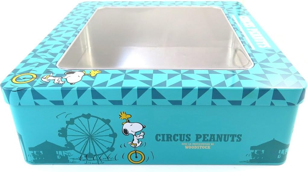 Caja metálica Snoopyturquesa - 25x21.5x7 cm.: Amazon.es: Hogar