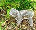 TOPSUNG Waterproof Puppy Raincoat White Transparent Pet Rainwear Clothes for Small Dogs/Cats, Size M