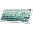 RK ROYAL KLUDGE M75 Wireless Mechanical Keyboard with OLED Display & Knob 2.4GHz/BT5.1/Wired Gaming Keyboard 75% Gasket Mounted 81-Key Side Printed PBT Keycap, RGB Backlit Hot Swappable Cloud Switch