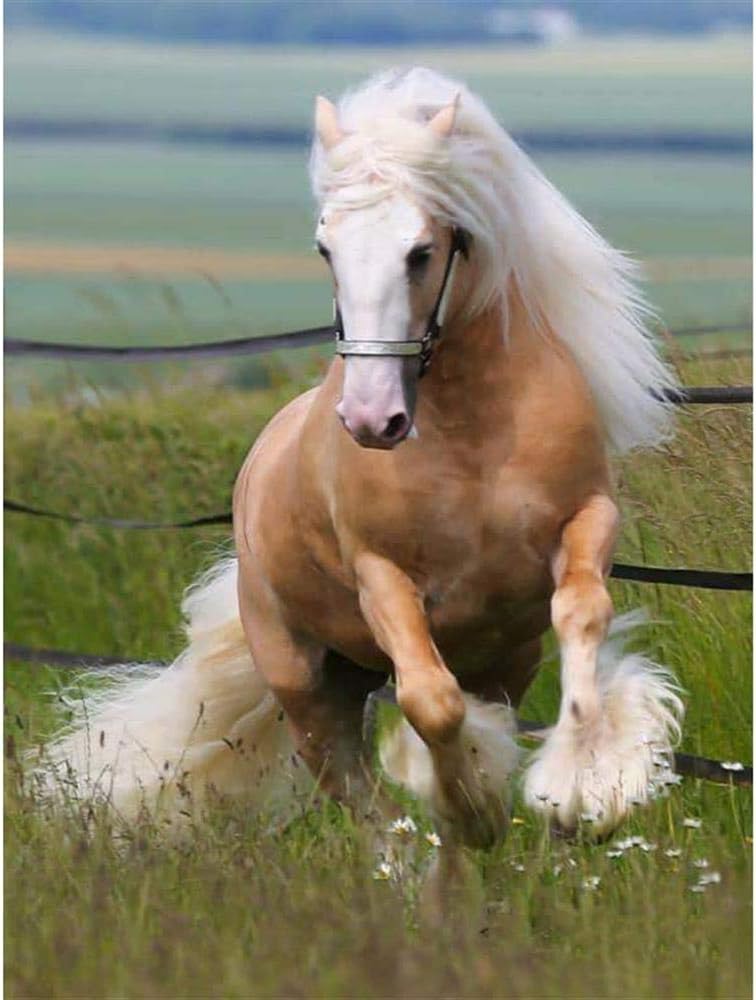 Children Jigsaw Puzzle 1000 Pieces Horse Cartoon Adults Wooden Puzzle Leisure Creative Puzzle Games Art Toys Puzzles