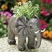 Bits and Pieces - Elephant Garden Planter - Decorative Indoor or Outdoor Safari Plant Holder