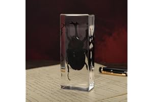 ABURRORI Taxidermy Rhinoceros Beetle Insect in Resin, 4.3 x 1.7 x 1 inches Real Bug Rhino Beetle Specimens Taxidermy Animal in Resin Paperweights Specimen for Classroom Science Education Desk Decor