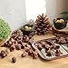 R.FLOWER 50pcs Artificial Lifelike Simulation Small Acorn Set Decoration Fake Fruit Home House Kitchen Décor