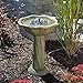 SmartSolar 20633R01 Acadia Solar Birdbath, Medium, Olive Green