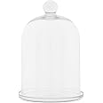 Creative Co-Op Glass Cloche with Clear Glass Plate