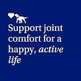 PetLab Co. Joint Care Chews – Daily Dog Joint Supplements for Mobility view 8