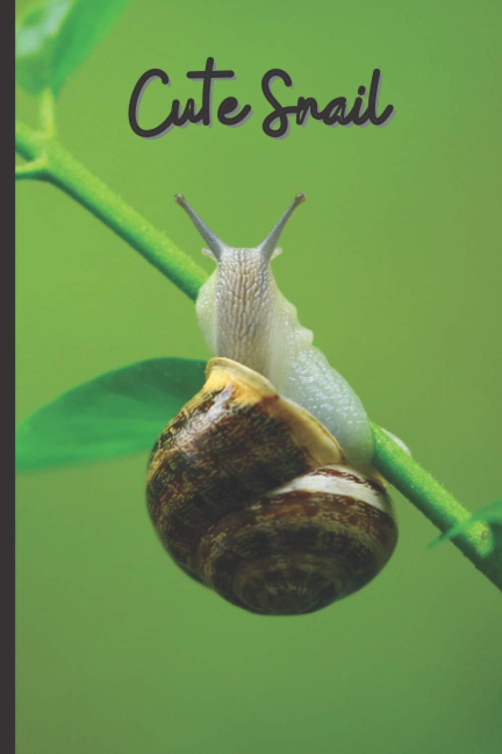 Cute Snail: Snail Notebook