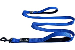 ShawnCo Dream Walk Dog Leash- Premium, Nylon Pet Leash with Soft Neoprene Handle for Small, Medium and Large Dogs (Electric Blue, M/L 6FT w/ 2 Handles)