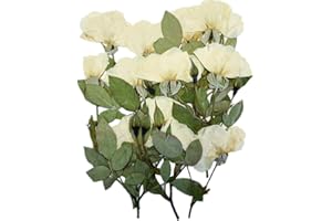 DoraMagic 12Pcs Nauture Dried Pressed Rose, Real Dried Pressed Flowers for Resin Scrapbook Supplies Card Making Soap Candle DIY Art Crafts (White)