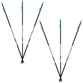 Carbon Express D-Stroyer Piledriver 400 Spine, 6-Pack of Fletched Arrows, Available in 350 &amp; 400 Spine