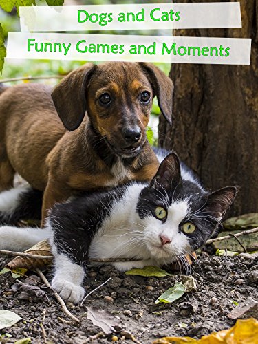 Dogs and Cats – Funny Games and Funny Moments