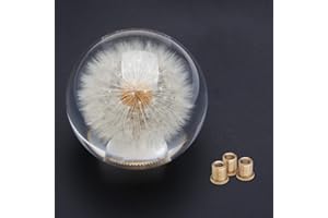 WENJTP Universal Shifter Knob Crystal Acrylic Ball with Dandelion Flowers for Manual Automatic Vehicles, with 3 Adapters HTRACING