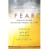 Fear: Essential Wisdom for Getting Through the Storm