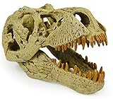 Geoworld T-Rex Skull