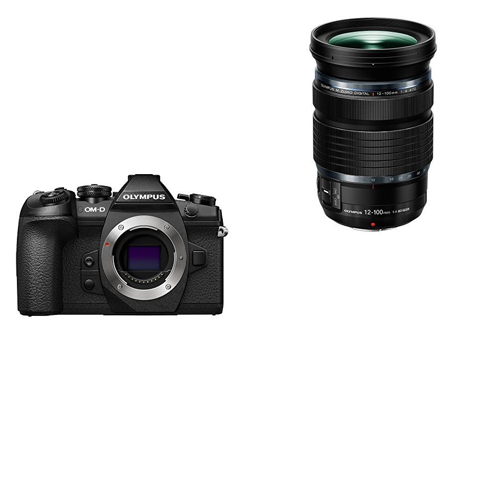 Best Mirrorless Camera for Professionals in 2020