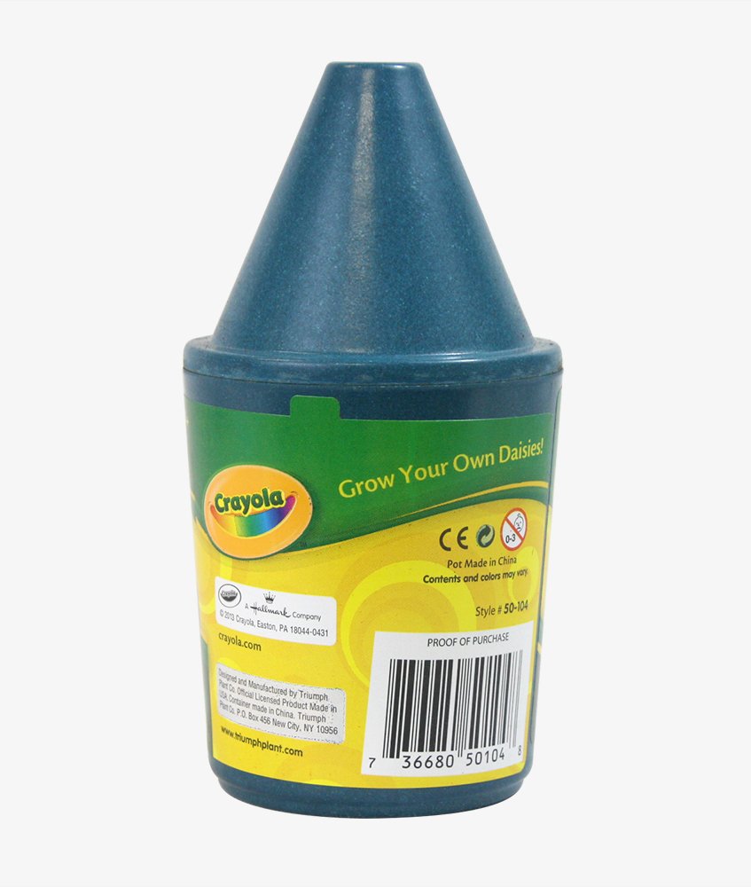 CRAYOLA jardinería Kits con merca, margarita: Amazon.es: Jardín