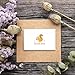 Blank Thank You Cards and Envelopes, 6 Squirrel Designs (4 x 6 In, 48 Pack)