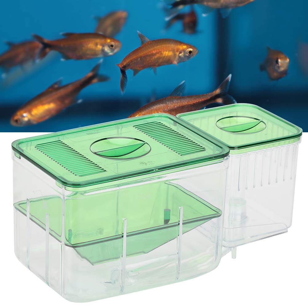 HEEPDD Fish Tank Isolation Breeding Box, Aquarium Little Fish Isolation Case Double-Layer Isolation Incubator Floating Hatchery Transparent