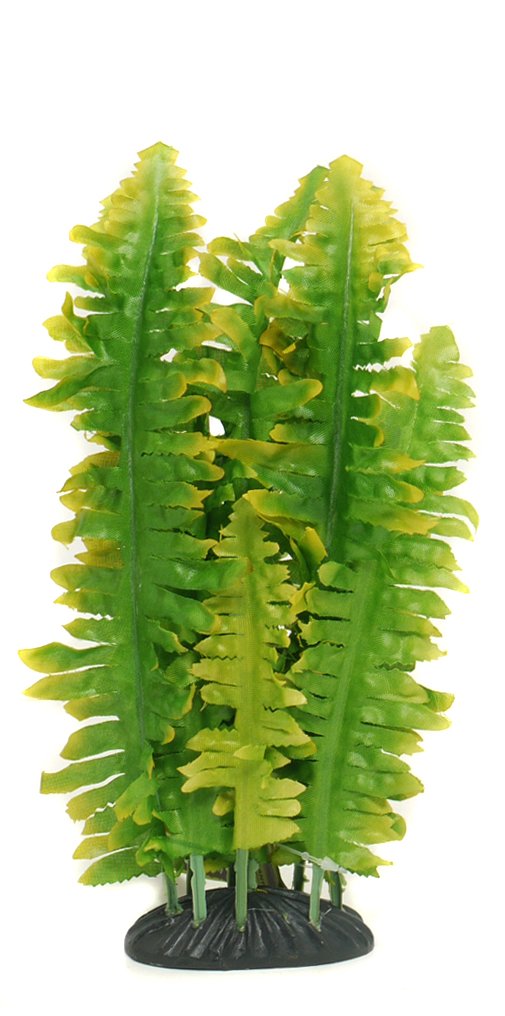 Komodo Boston Fern Green Artificial Plant Habitat Decor for Reptiles Terrarium Vivarium Durable Realistic Hygienic Easy Clean for Enclosures - 25cm