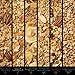 High Protein Granola Cereal Breakfast | 6 Variety Healthy Flavor | Toasted with Oats, Dried Fruits & Nuts | Cinnamon, Almonds, Pecan | Keto & Dairy-Free Fitness Snack Gift for Men & Women