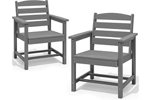 SERWALL Patio Dining Chair Set of 2, Gray