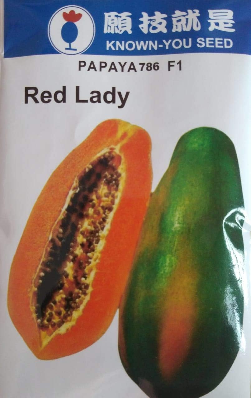 red lady 786 papaya hybrid seeds 200 seeds