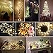 WisHome Waterproof Decorative 100 LEDs 33ft USB Powered Copper Wire Starry Fairy String Lights Led Rope Lights for Bedroom Patio Garden Christmas Outdoor Party Wedding Lamping Warm White