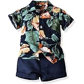 JunNeng Toddler Baby Boy Shorts Sets Hawaiian Outfits,Tropical Floral Short Sleeve Shirt +Elastic Shorts Vacation Clothes