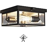 Craftersmark Outdoor Ceiling Light with Motion Sensor, Flush Mount Porch Light, Exterior Light Fixture with Clear Glass, Dusk to Dawn 2-Light Fixture for Patio,Porch (8.5 in)