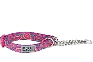 RC PET PRODUCTS RC Pets 3/4" Martingale Training Dog Collar, Small, Bright Paisley