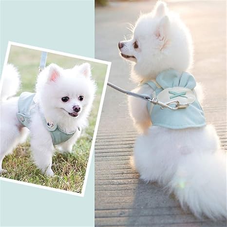 Amazon Co Jp Znty 小型犬ポメラニアンペットベストハーネスロープかわいいペット犬ハーネスリーシュセットペットチェストストラップ通気性のドッグリーシュウォーキングロープ Color Green Mesh Size S ホーム キッチン Amazon Co Jp Znty 小型犬ポメラニアンペットベストハーネスロープかわいいペット犬ハーネスリーシュセットペットチェストストラップ通気性のドッグリーシュウォーキングロープ Color Green Mesh Size S ホーム キッチン