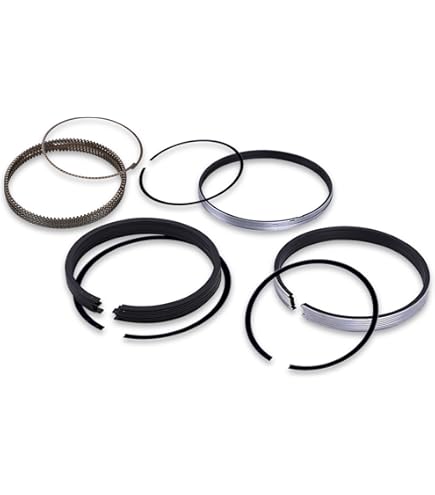 くぃーん０２０９ Amazon.com: GM Genuine Parts 88894219 Piston Ring : Automotive