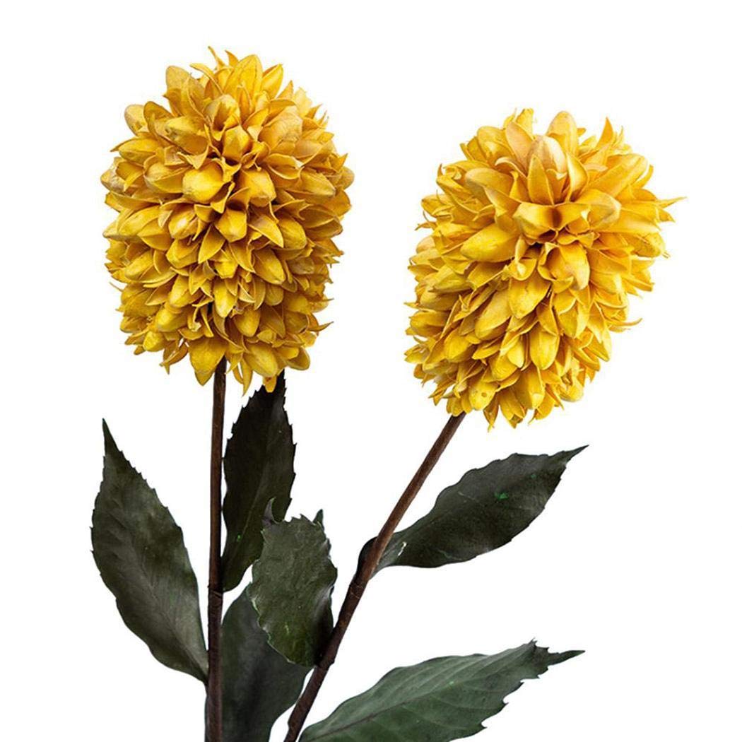 Piokikio Dutch Hyacinth Flower Seeds Home Garden DIY Plants Decoration Flowers