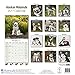 Alaskan Malamute Calendar 2017 - Dog Breed Calendars - 2016 - 2017 wall calendars - 16 Month by Avonside
