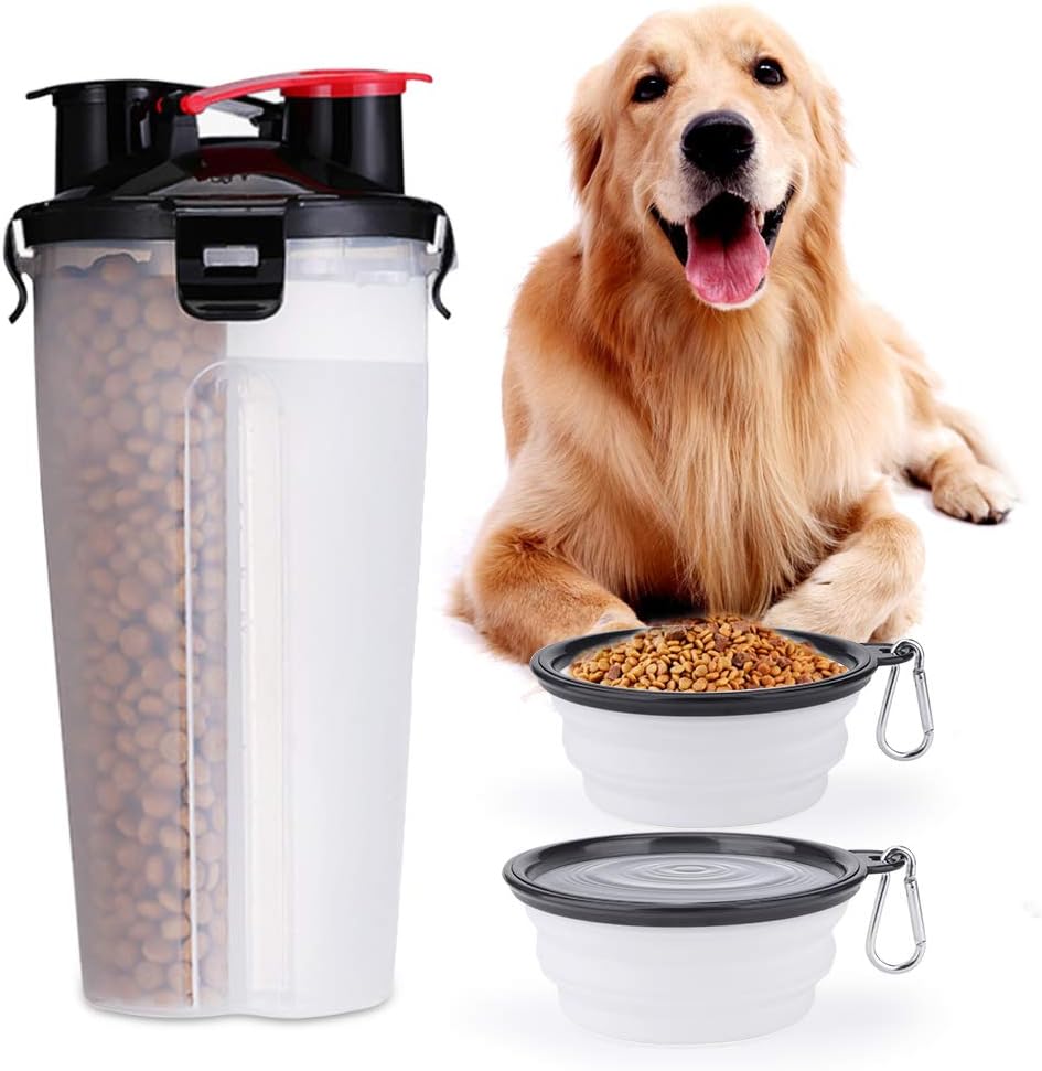 Bouteille d'eau Portable et Récipient Alimentaire