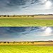 ChromLives White Balance Card Grey Card 18% Exposure Gray Card Photography for Video DSLR and Film Premium Exposure Photography Card Set,Black White and 18% Gray, 8.5x5.4cm