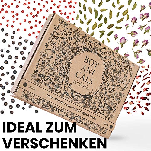 Gin Gewürze | 5 natürliche Gin Botanicals im Set | Für Gin Tonic, als Cocktail Zubehör und zum Gin selber machen | Gin… – Bild 3