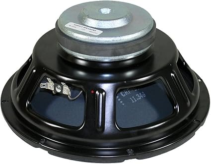 bose 10 inch car subwoofer