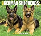 Just German Shepherds 2015 Box Calendar