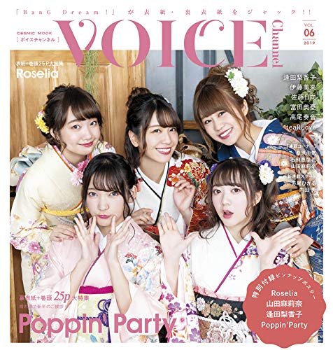 VOICE Channel Vol.6 画像 B