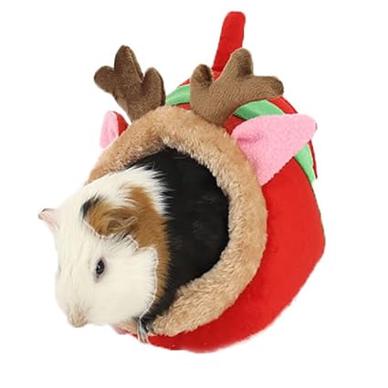 rabbit accessories online