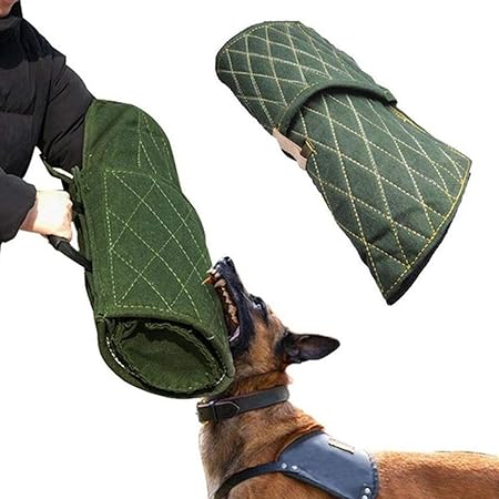 english bulldog red heeler mix