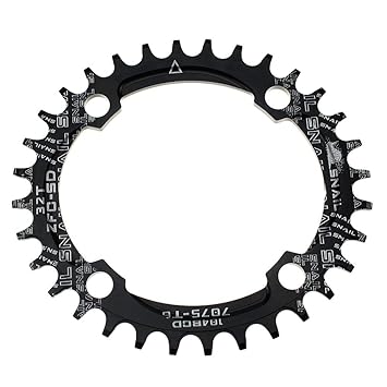 oval chainring fixed gear
