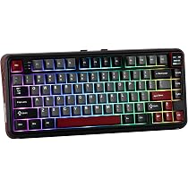Amazon.com: MechLands Vibe75 75% Wireless Gaming Keyboard with ...