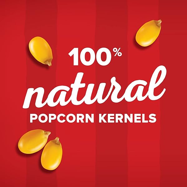 ORVILLE REDENBACHER’S GOURMET POPCORN KERNELS, ORIGINAL YELLOW, 5 LB.