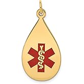 14k Yellow Gold Medical Alert Teardrop Pendant with Red Star of Life and Rod of Asclepius Symbol, Unisex Health ID Emergency Necklace, Medical Condition Jewelry for Allergies and Identification