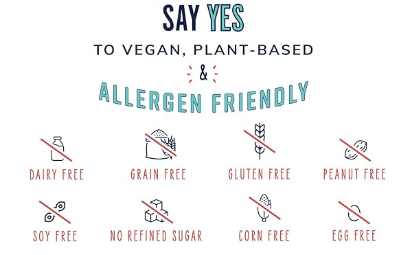 YES BAR – SALTED MAPLE PECAN – PLANT BASED PROTEIN, DECADENT SNACK BAR – VEGAN, PALEO, GLUTEN FREE, DAIRY FREE, LOW SUGAR, HEALTHY SNACK, BREAKFAST, LOW CARB, KETO FRIENDLY (6 COUNT)